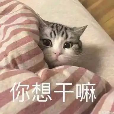 DƬ